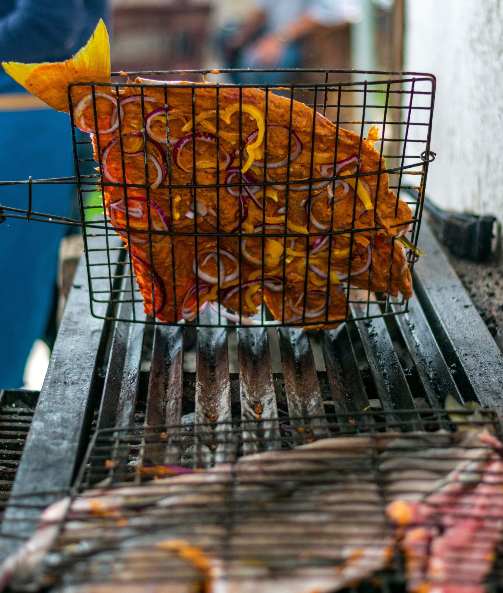 grilled fish puerto vallarta food