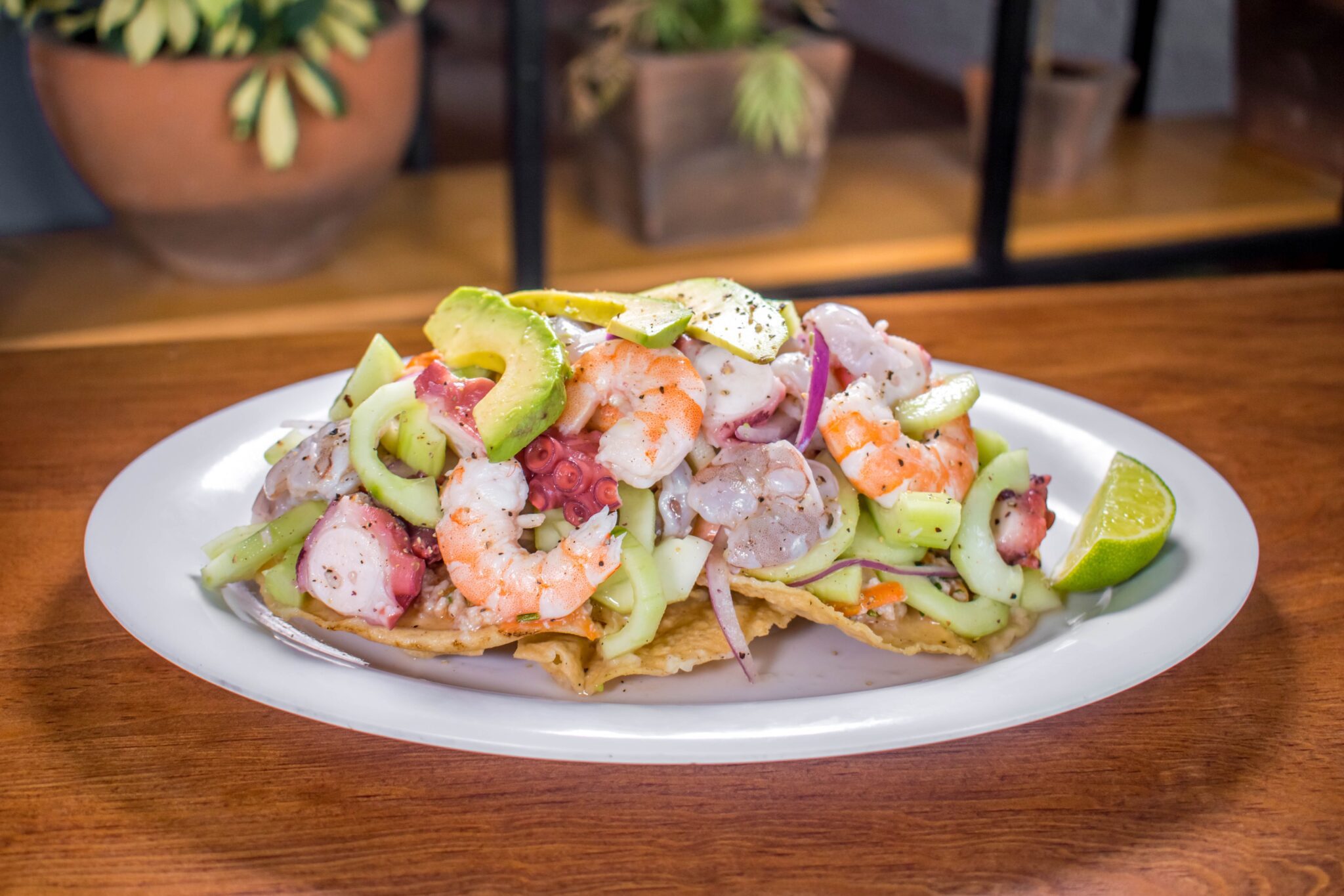 where to eat in puerto vallarta ceviche